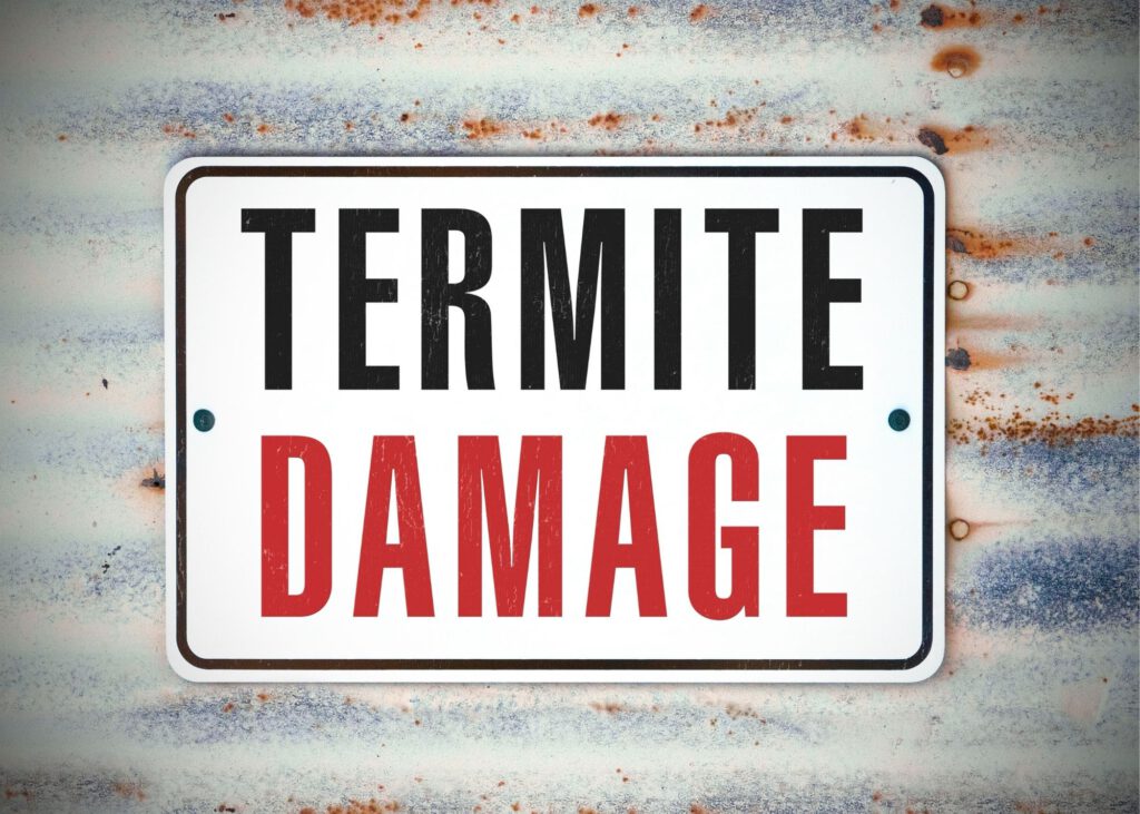 Termite pest control Selbyville DE
