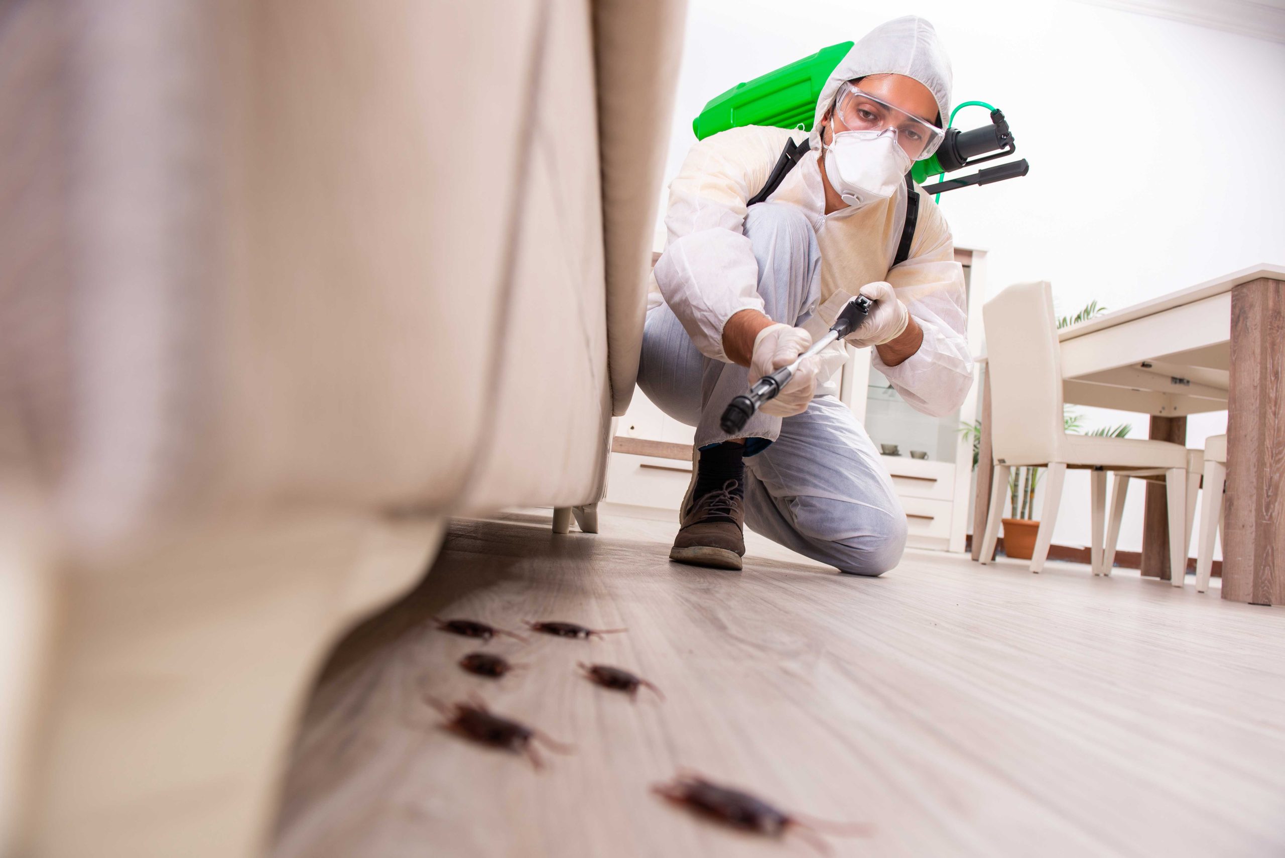 Pest Control Services in Selbyville